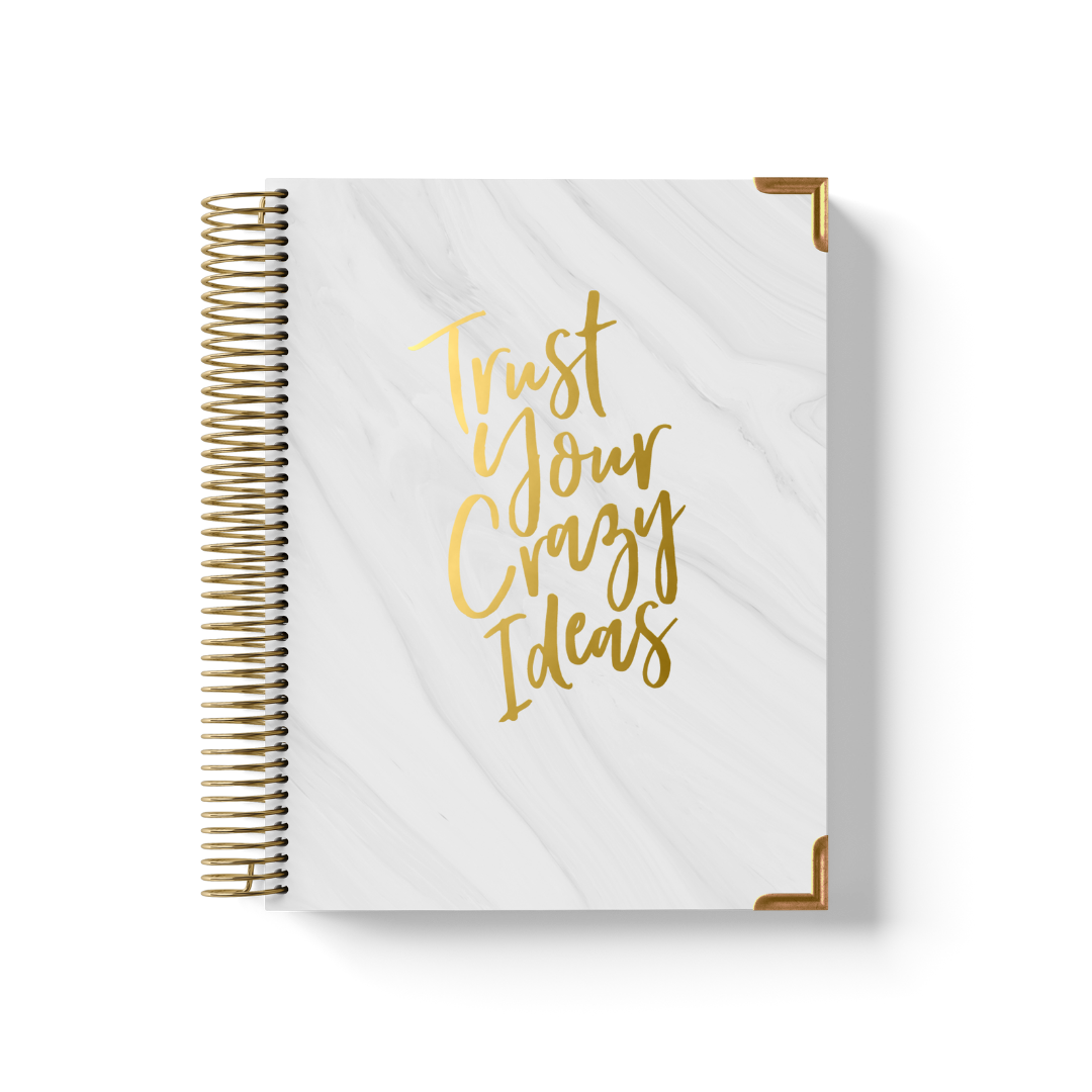 Crazy Ideas Teacher Planner by BERTEAU & Co.