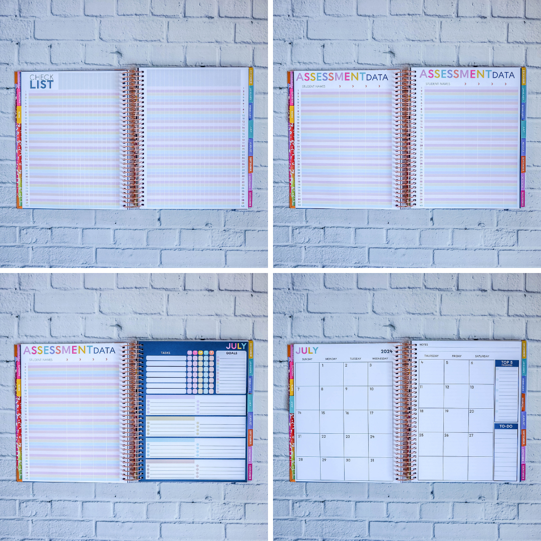 Crazy Ideas Teacher Planner by BERTEAU & Co.